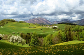 Tourist Farm Ljubica